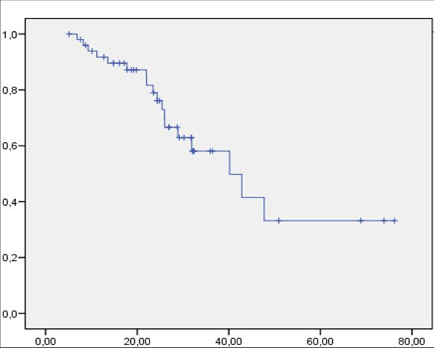Results: 5-yr survival with DC Bead >300μ OS 54.