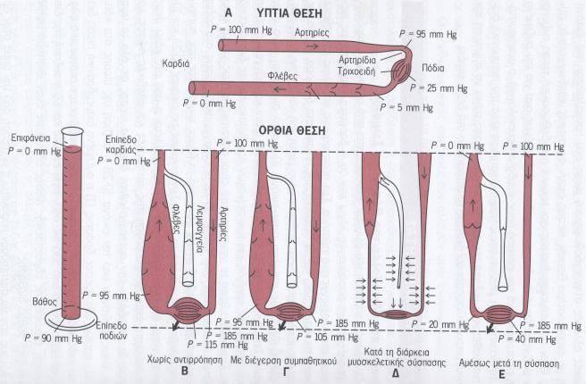 Απόκριση στην