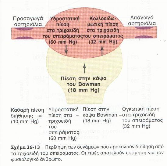 10mmHg