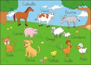 μαθημα 20: ΛΕΞΙΛΟΓΙΟ LOS ANIMALES / ΤΑ ΖΩΑ: Ας δούμε τι θα πρέπει να πείτε σε περίπτωση που πάτε σε μια Ισπανόφωνη χώρα και επισκεφθείτε έναν ζωολογικό κήπο!