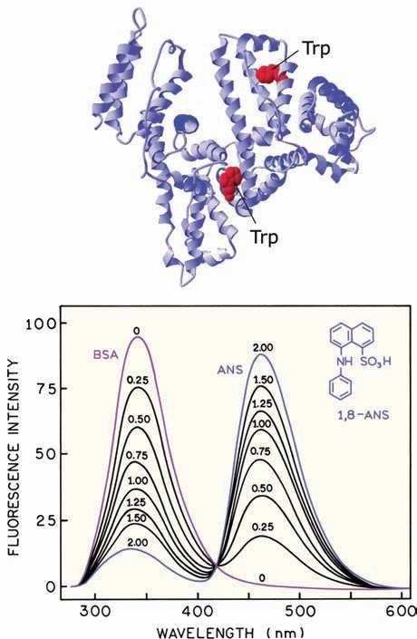 τετραμεθυλοροδαμίνη, (4) Lissamine rhodamine B και (5) χρωστικήtexas Red. Σχήμα 54.