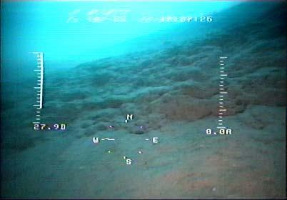 Ηχογραφία στην οποία αποτυπώνεται ο κρατήρας διαφυγής ρευστών ΕP4. Εικόνα 6.46.