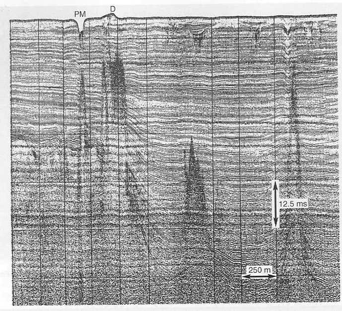 Τα λασπούχα διάπυρα εντοπίζονται µε τοµογράφους και κάτω από προϋποθέσεις µε ηχοβολιστή πλευρικής σάρωσης (εικόνα 2.13).