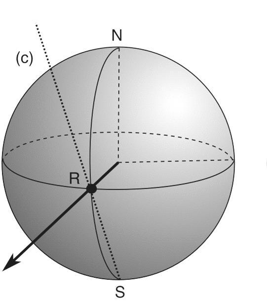 Ένα διάνυσμα στο ισημερινό επίπεδο προβάλλεται σε σημείο στην περίμετρο του στερεογραφήματος (σημείο R