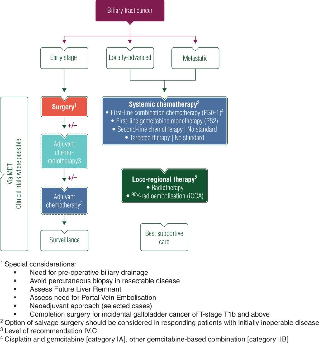 Biliary cancer - ESMO Clinical Practice