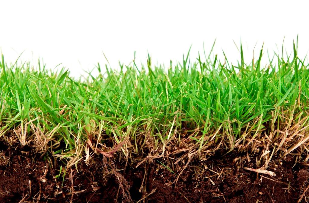 Μετριασμό ή την πρόταση καινοτόμων μεθόδων για την αντιστάθμιση της σφράγισης του εδάφους Καλύτερη διαχείριση του εδάφους: Μείωση της διάβρωσης, Διατήρηση της οργανικής ύλης στο έδαφος,