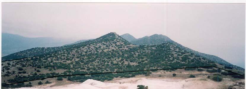 µακρινή