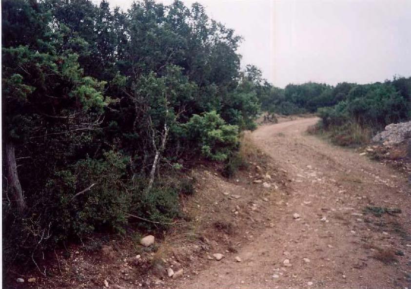 στείρων. Εικόνα 8.