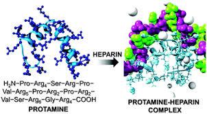 ΦΑΡΜΑΚΑ ΑΙΜΟΡΡΑΓΙΚΩΝ ΔΙΑΤΑΡΑΧΩΝ Πρωταμίνη θειική. είναι μια πρωτεΐνη χαμηλού μοριακού βάρους, πλούσια σε αργινίνη.
