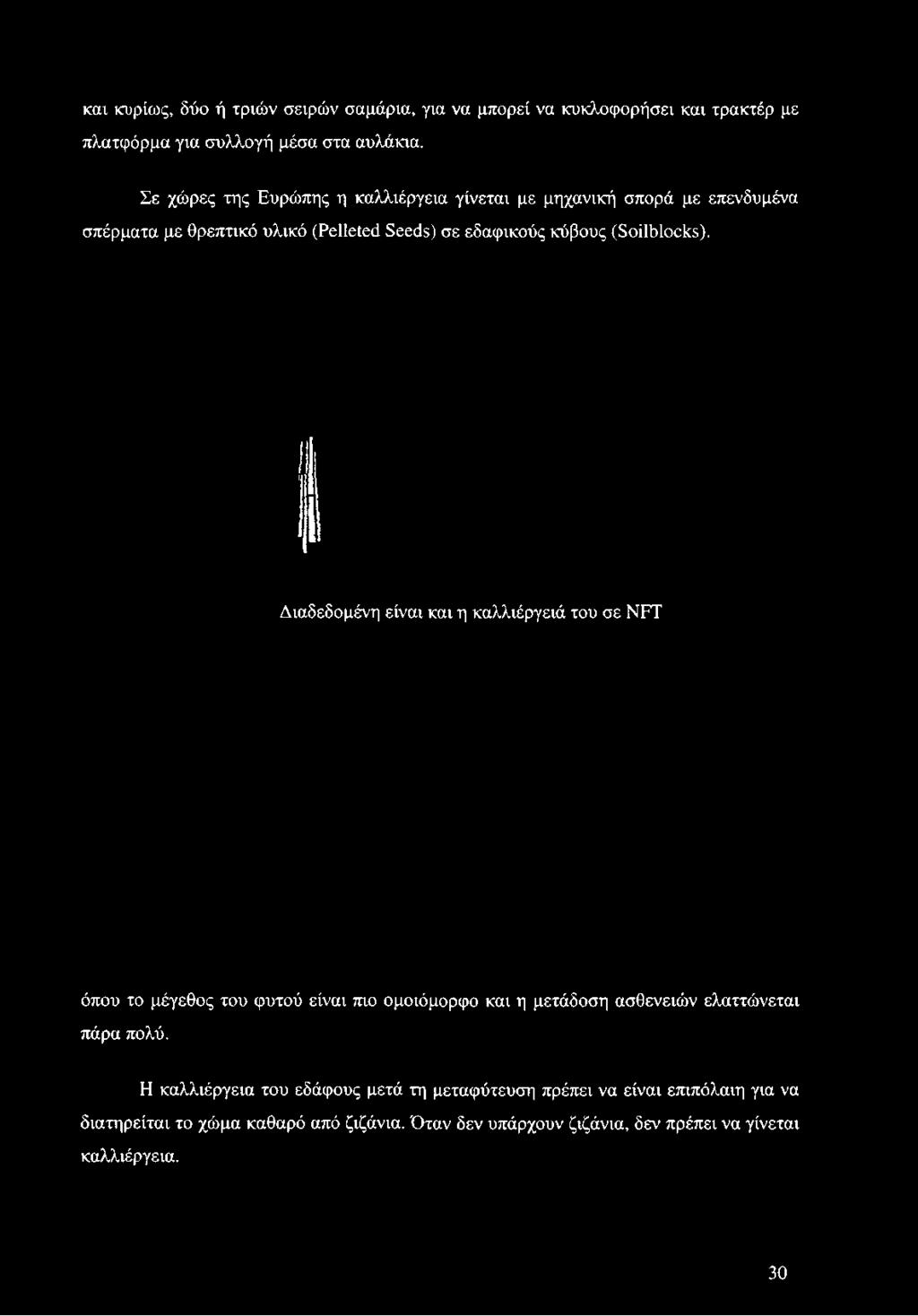 Σε χώρες της Ευρώπης η καλλιέργεια γίνεται με μηχανική σπορά με επενδυμένα