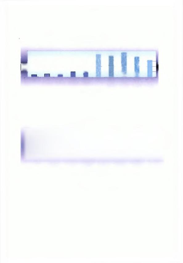 Π ειραματικός μ ε P b I 5 4 3 0 4 - ΞΗΡΟ ΒΑΡΟΣ ΡΙΖΑΣ I -...~ 1 Γ 1 π '.