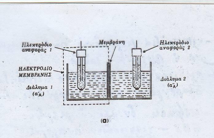 Πειραματική Διάταξη Γαλβανικού