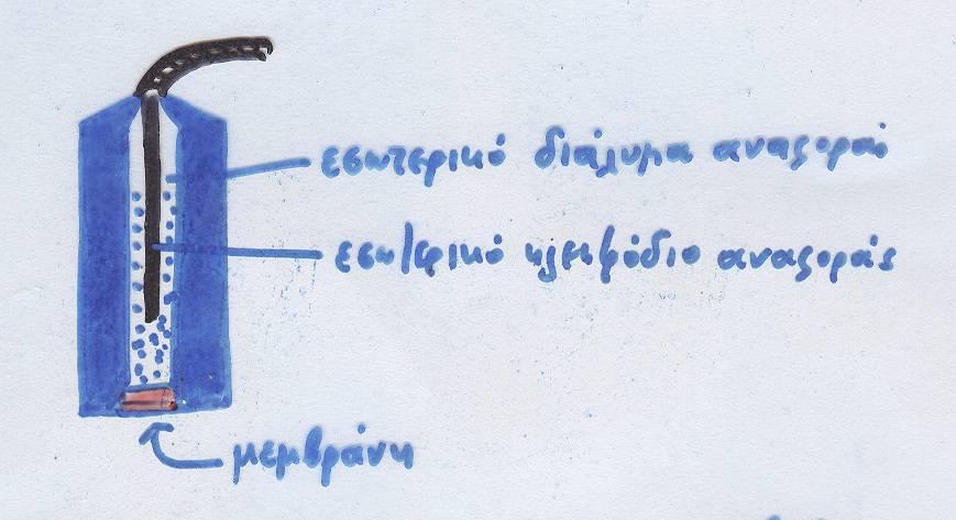 Εκλεκτικό Ηλεκτρόδιο