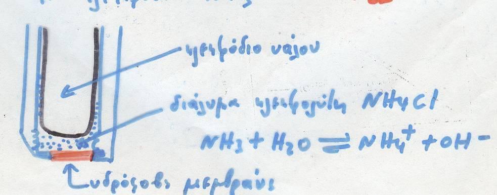 Ηλεκτρόδιο
