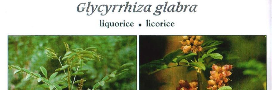 ΤΟ