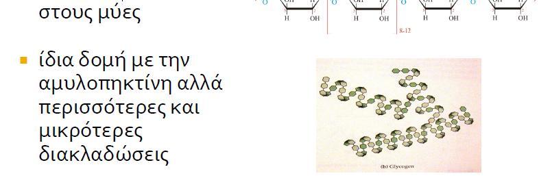Γλυκογόνο
