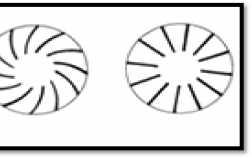 Σχήμα 3.13: Οι δύο τύποι συμπιεστών με ευθεία και υπό κλίση πτερύγια. Ο τύπος με ευθεία πτερύγια επιτυγχάνει καλύτερες αποδόσεις αλλά σε περιορισμένο αριθμό στροφών.