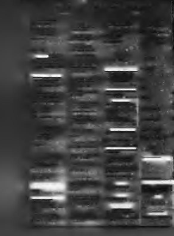 .. 23310 75172-3 ΚΑΘΑΡ ΕΜ Π Ο Ρ ΙΑ ΚΑΙ S E R V IC E ΕΛ Α ΣΤΙΚ Ο Ν -Ζ Α Ν Τ Ω Ν Τ ΣΑ Κ IP ΙΔΗΣ ΕΥΘ ΥΜ ΙΟ Σ θεσλ/ικης70 Βέροια.. -... 3310 73^63 2Α Ν ΤΕΣ-Έ Λ Α ΣΤΙΚ Α i m n o B o m L ^ E n m ΧΡΗΣΤΟΣ ΜΑΝΤΖΙΑΡΙΔΗΣ Ν.