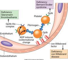 Κληρονομικές θρομβασθένειες Α. Ανωμαλίες μεμβράνης Σύνδρομο Bernard-Soulier Θρομβασθένεια Glanzmann Διαταραχή των γλυκοπρωτεΐνων Ια-ΙΙα Β.
