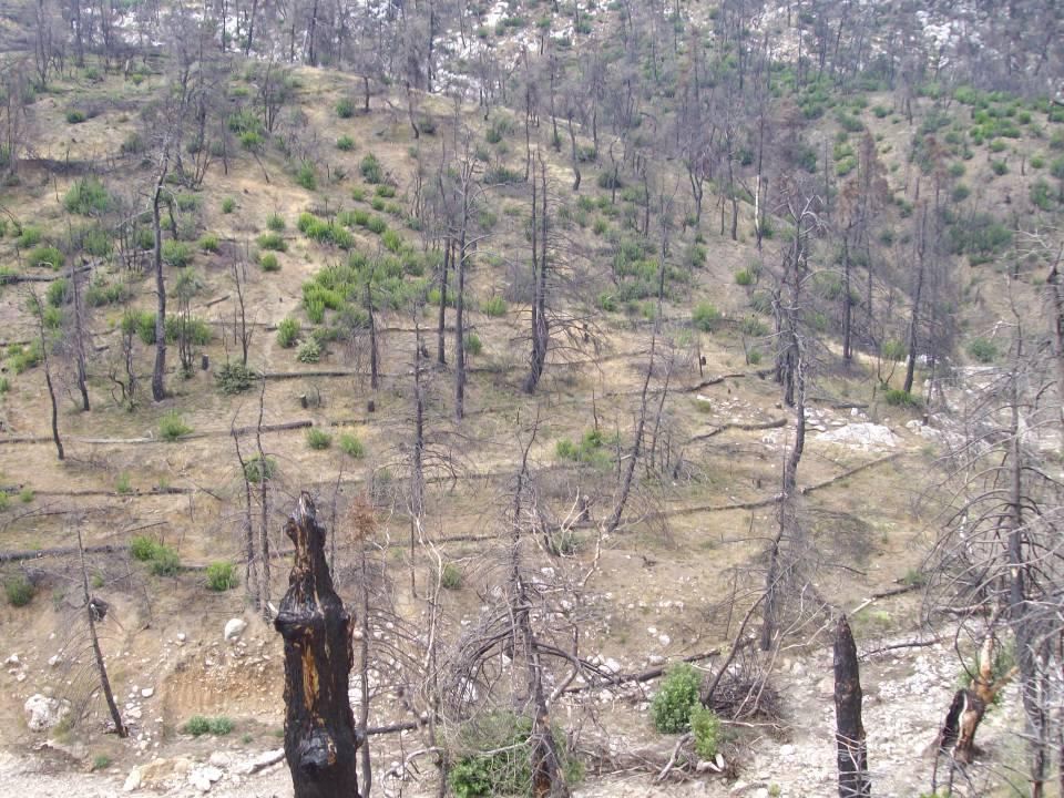 05.07.2008 Λ.