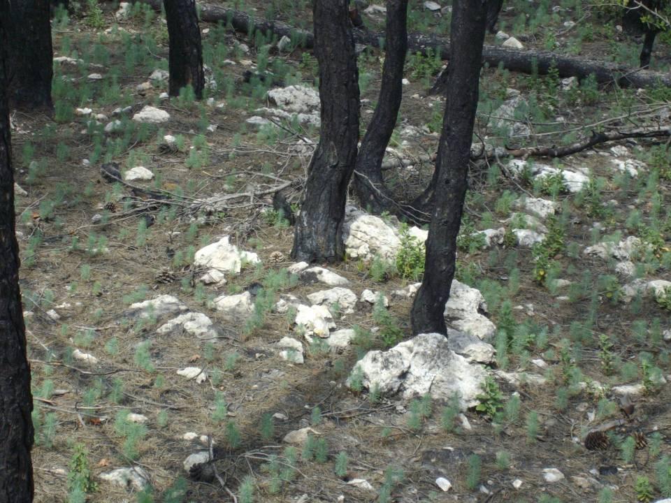 14.09.2008 Λ.