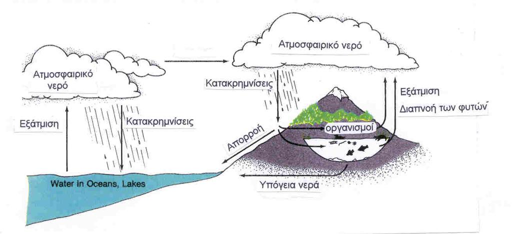 ΤΟ ΦΥΣΙΚΟ