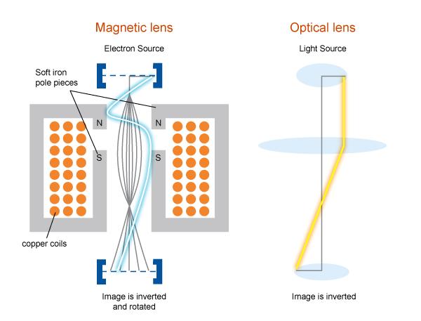 Ηλεκτρονικό μικροσκόπιο Η εστίαση της δέσμης ηλεκτρονίων γίνεται με μαγνητικούς φακούς