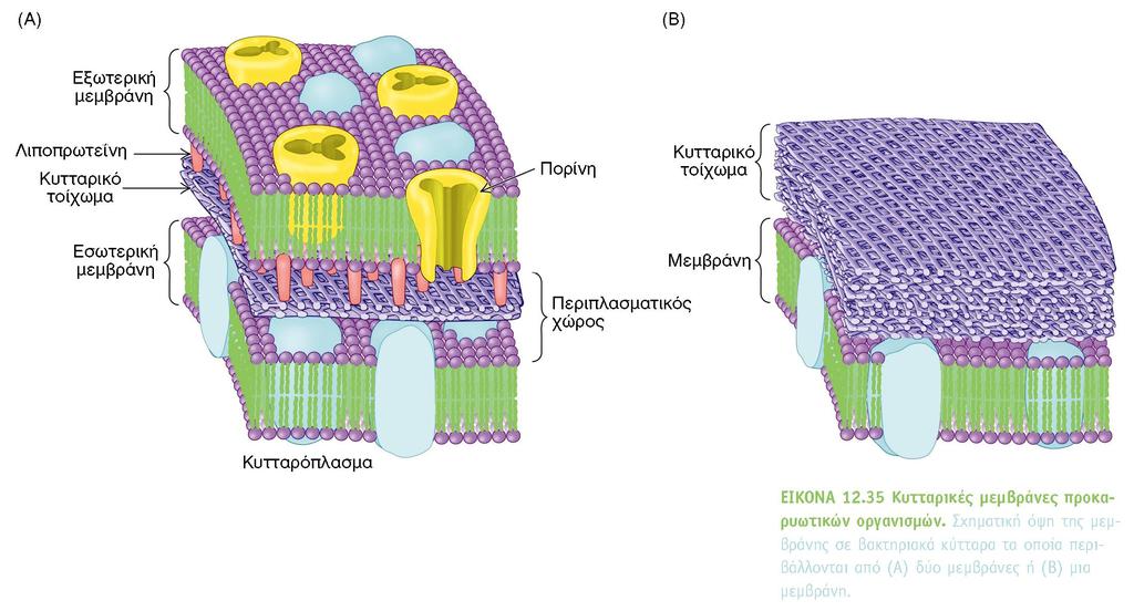 BIOXHMEIA, TOMOΣ I