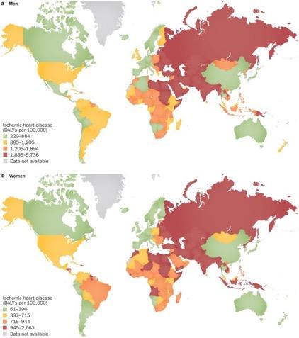The global distribution of ischaemic heart disease