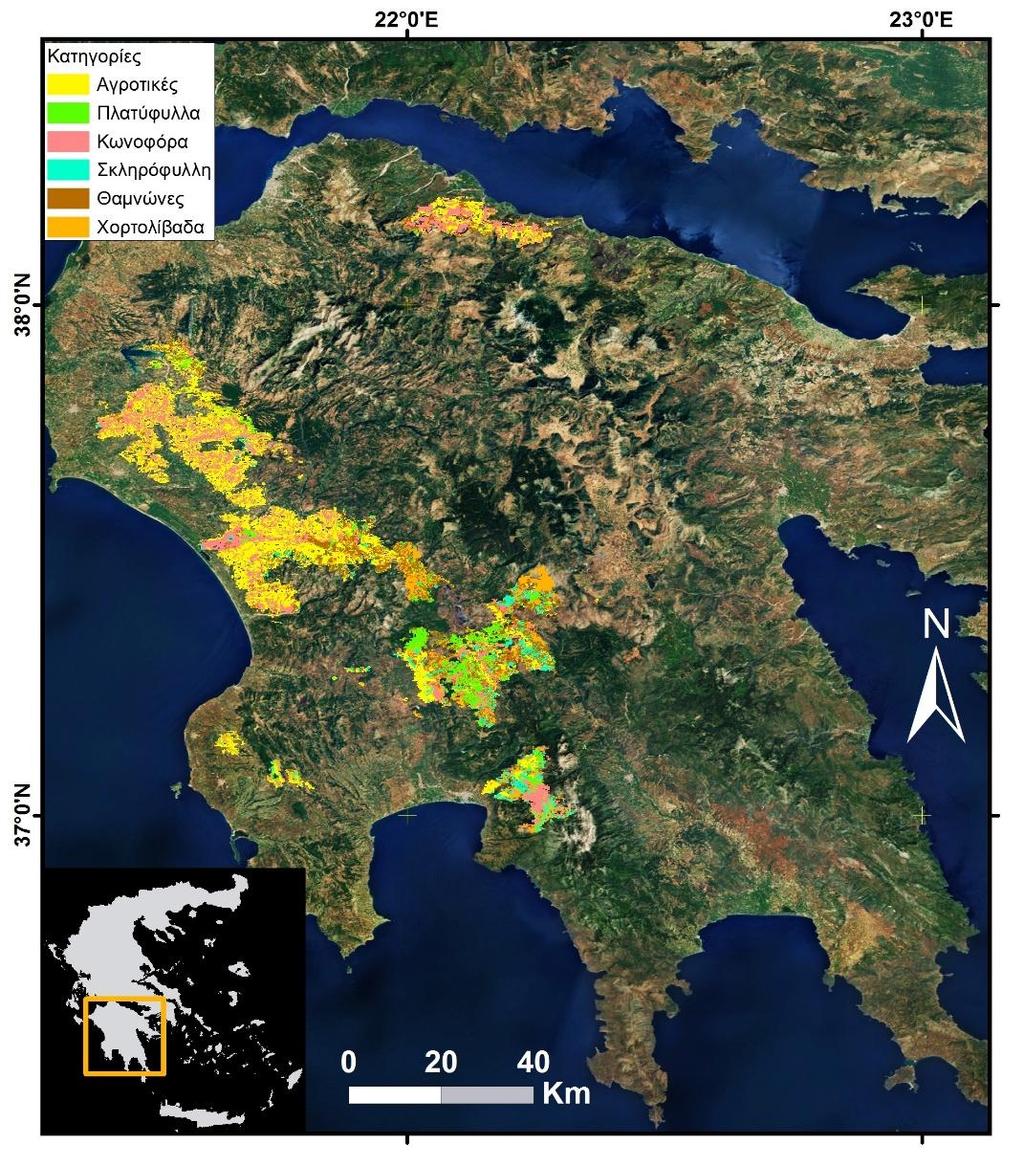 ΚΕΦΑΛΑΙΟ 3 Εικόνα 3.2. Η περιοχή μελέτης της Πελοποννήσου και οι βασικές κατηγορίες βλάστησης των πυρόπληκτων περιοχών.