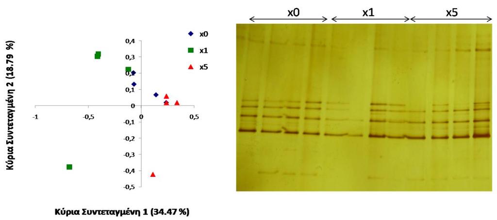 (α) (β) (γ) (δ) Διάγραμμα 3.8.