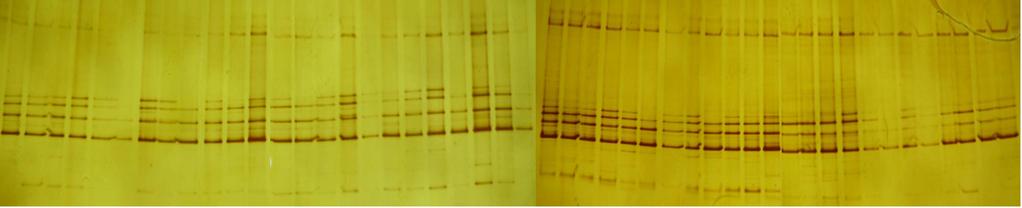 before 2 days 28days end 0x 1x 5x 0x 1x 5x 0x 1x 5x 0x 1x 5x Εικόνα 3.14.