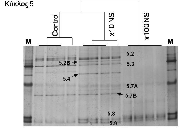 (α) (β) Διάγραμμα 4.3.