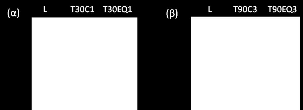 ethoxyquin ζηδκ θεζημονβία ηςκ κζηνςδμπμζδηζηχκ ιζηνμμνβακζζιχκ ημο εδάθμοξ, πναβιαημπμζήεδηε ανπζηά ελαβςβή RNA απυ ηα δείβιαηα εδάθμοξ.