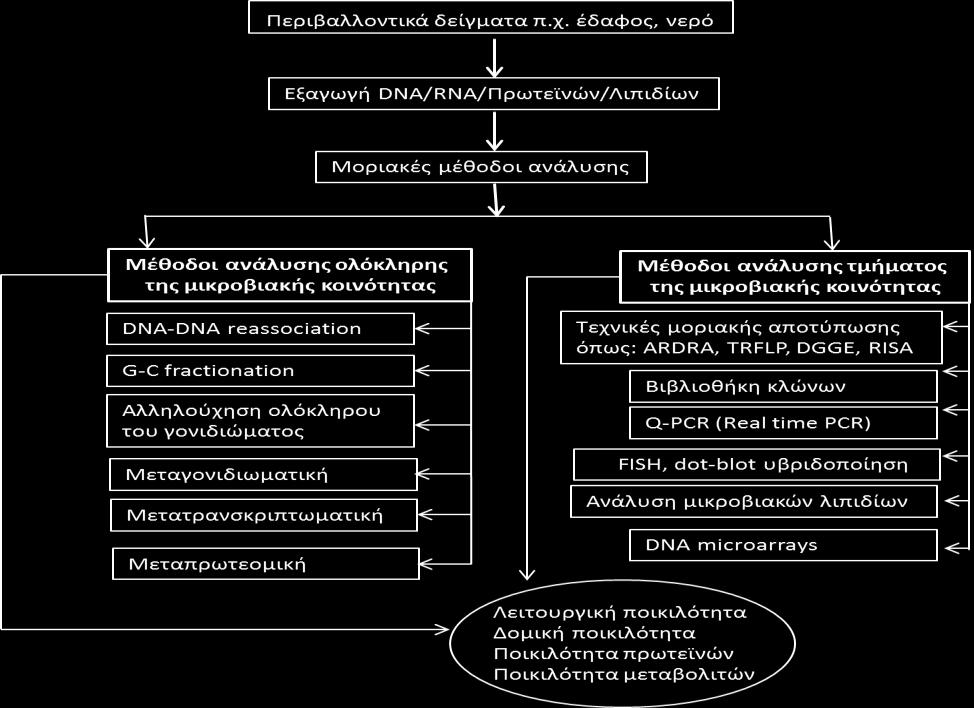 πενζααθθμκηζηά δείβιαηα.