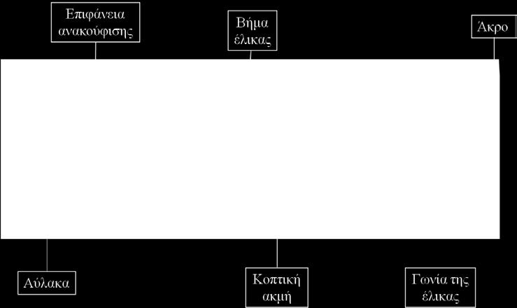Ο U-τύπος αποτελείται από 3 ισαπέχουσες αύλακες U ενώ ο Η- τύπος από μία L (τύπου Hedstrom) (Bergmans και συν. 2001). Εικ. 3 Μορφολογικά χαρακτηριστικά μικροεργαλείου ProTaper Universal F3.