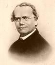 2. Σύγχρονες αντιλήψεις περί φυλών Mendel (1822-1884) Ίδρυση και εφαρμογή της Πληθυσμιακής Γενετικής στη Ζωοτεχνία Η έννοια της φυλής, με την πάροδο του χρόνου, χάνει τη σημασία της για το βελτιωτή