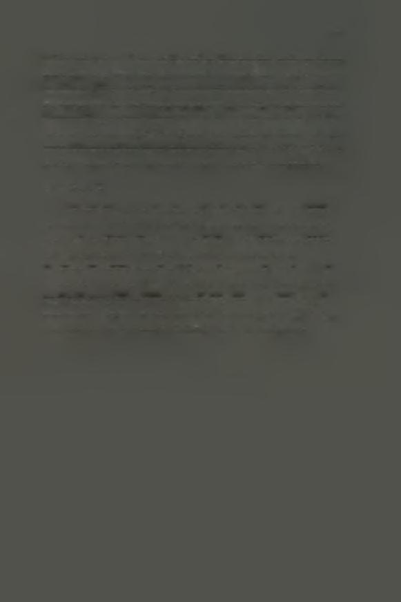 Τα ενήλικα θηλυκά ωοτόκα έχουν συνήθως πορφυρό κόκκινο χρώμα ενώ στην περιοχή της κοιλιάς διακρίνεται ένα σκούρο τμήμα.