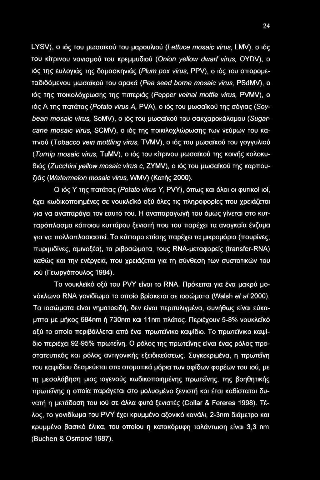 virus A, PVA), ο ιός του μωσαϊκού της σόγιας (Soybean mosaic virus, SoMV), ο ιός του μωσαϊκού του σακχαροκάλαμου (Sugarcane mosaic virus, SCMV), ο ιός της ποικιλοχλώρωσης των νεύρων του καπνού