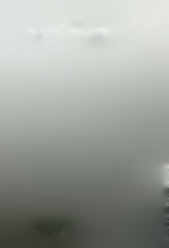 3 4nr-W 17)00 - 'i Cjlfsrt