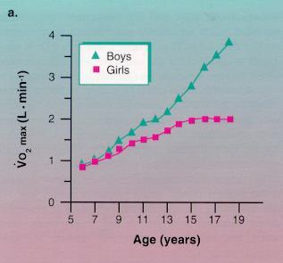 Επίδραση της ηλικίας και του φύλου