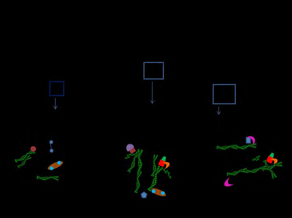 .. 50 α 16. υπ π υ α α α α π α α ( π π απ Nürnberg et al, 2011).