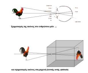 -18-1.8 To ανθρώπινο οπτικό σύστηµα Ίρις Ρετίνα Φακός Οπτικό νεύρο Φοβία οπτικός άξονας Κορνέα Σχήµα 1.