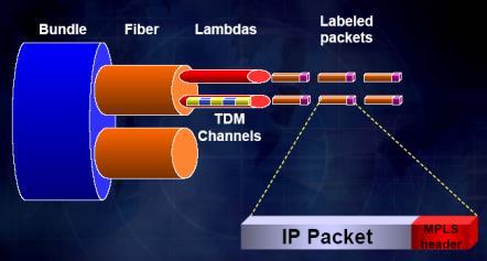 Burst Switching Meshed Networks Ring Networks