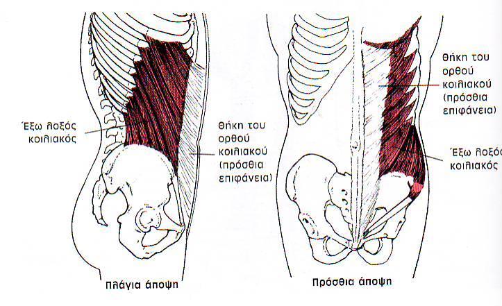 Έξω λοξός