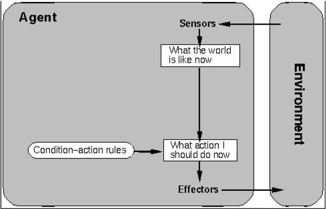 Simple Reflex