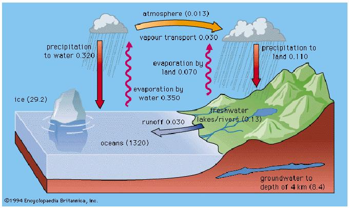 Ισοζύγιο υδρολογικού κύκλου 0,5 10 6 km 3 νερού εξατμίζονται από τη γη και τη θάλασσα προς την ατμόσφαιρα.