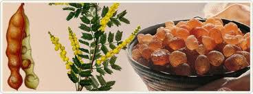 Ετεροπολυσακχαρίτες Φυτικά κόμμεα(gums) Αραβικό κόμμι Σύνθετο μίγμα γλυκοπρωτεϊνώνκαι