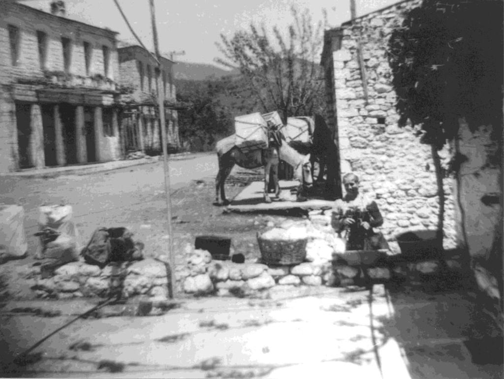Γαύρος. (Φωτ. προ του 1936, Συλλογή Ν. Καραγεώργου).Στα χάνια του χωριού οι αγωγιάτες φόρτωναν εμορεύματα και ταξιδιώτες για να τους μεταφέρουν στα δυσκολοπρόσιτα χωριά τους.