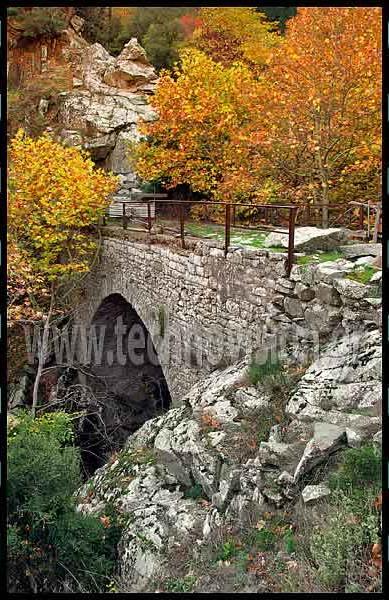 Εδώ ψηλά στα κορφοβούνια, στ' αυλακωμένα φαράγγια και στα